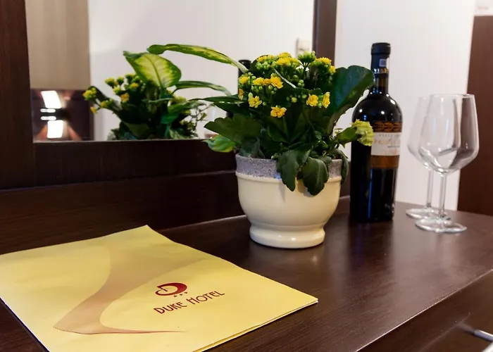 Hotel Duke Armeneasca City Center - Ex Tempo
